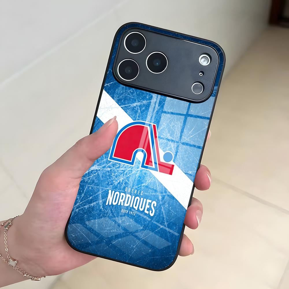 Q-QueBecES Hockey Logo Phone C - Phone Cases Quebec 评论和价格