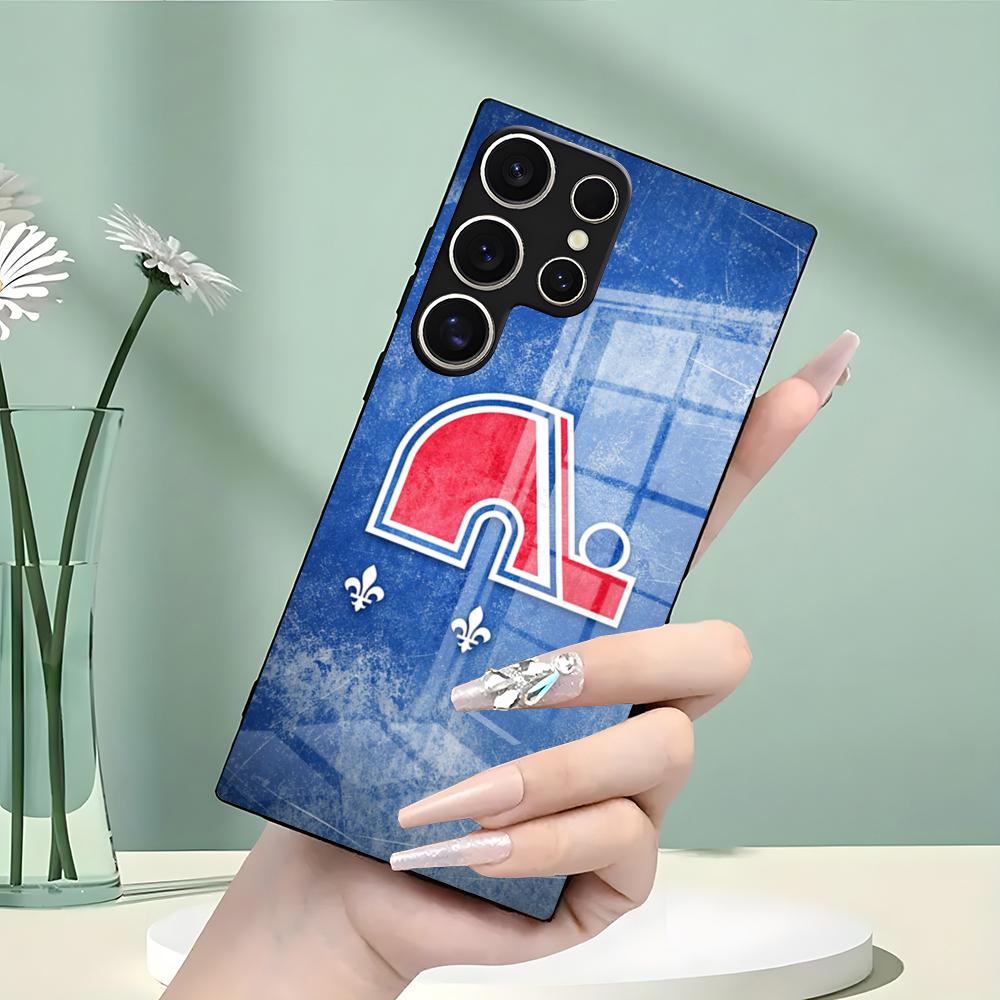 Q-QueBecES Hockey Logo Phone C - Phone Cases Quebec 评论和价格